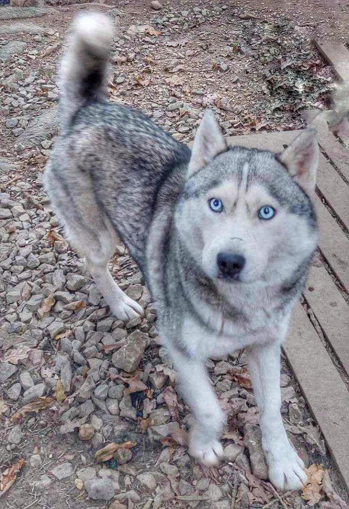 Publication : Des Legendes Du Triskel 