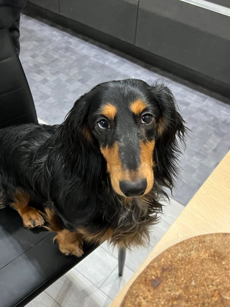 Publication : Of Moonlight Blue 