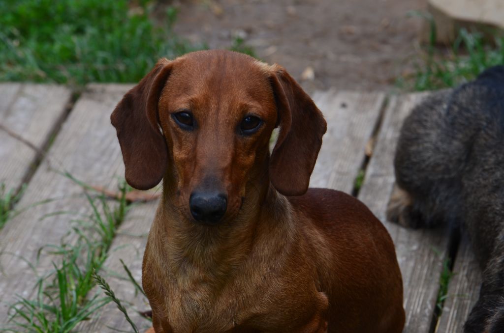 Publication : Du Clos Des Bords De Mer Auteur : pierrette quesne