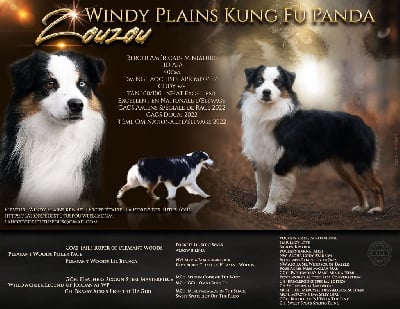 windy plains Kung fu panda