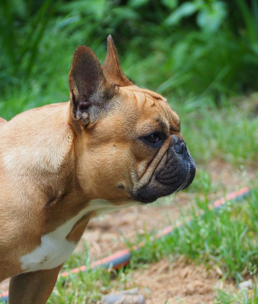 Publication : Of little by little Auteur : Laurence RENAUD