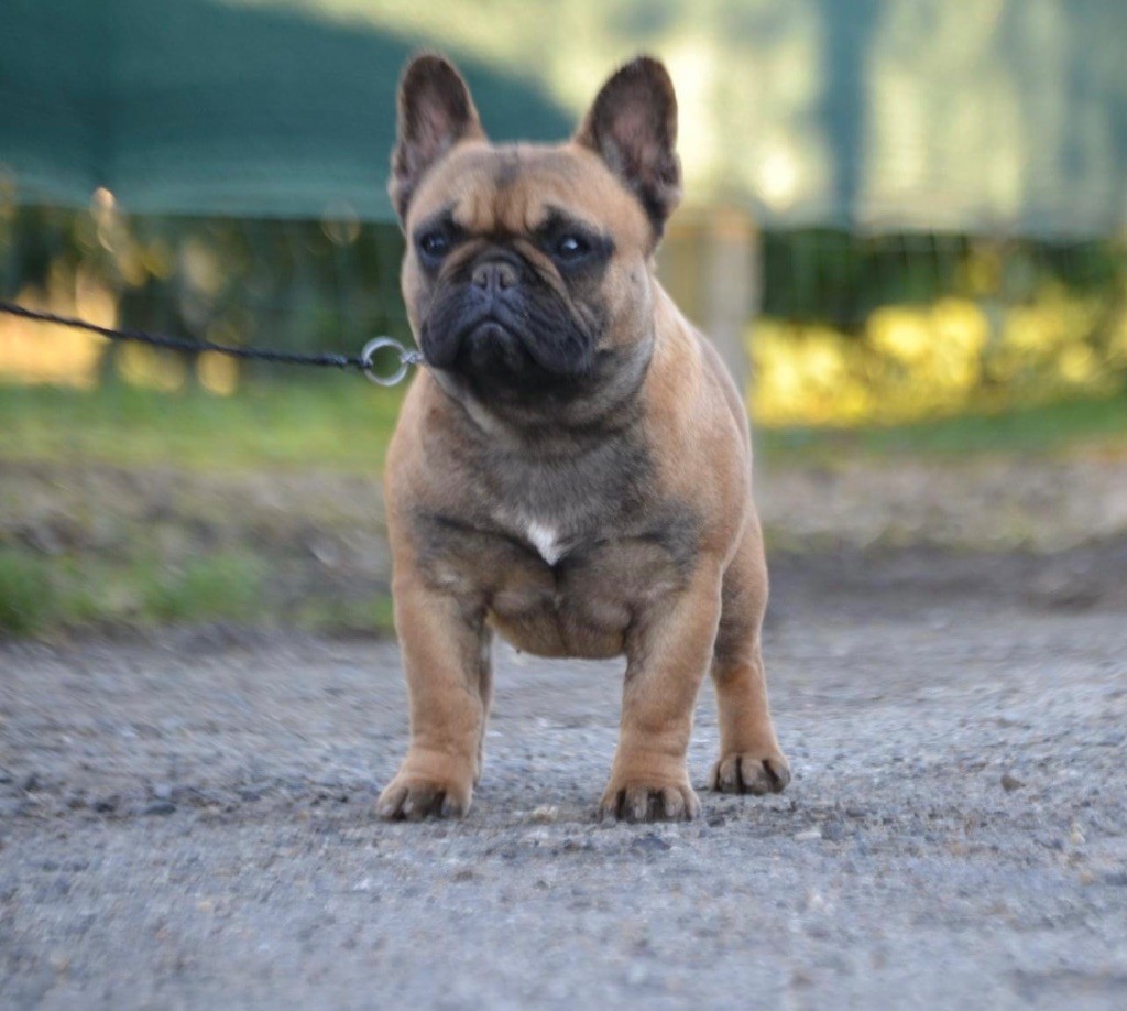 Publication : De La Cour De Mimali 