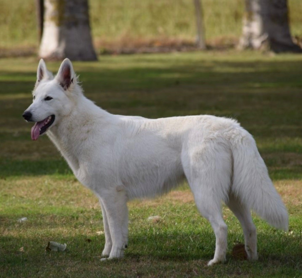 Publication : Des Vents D'Océan 