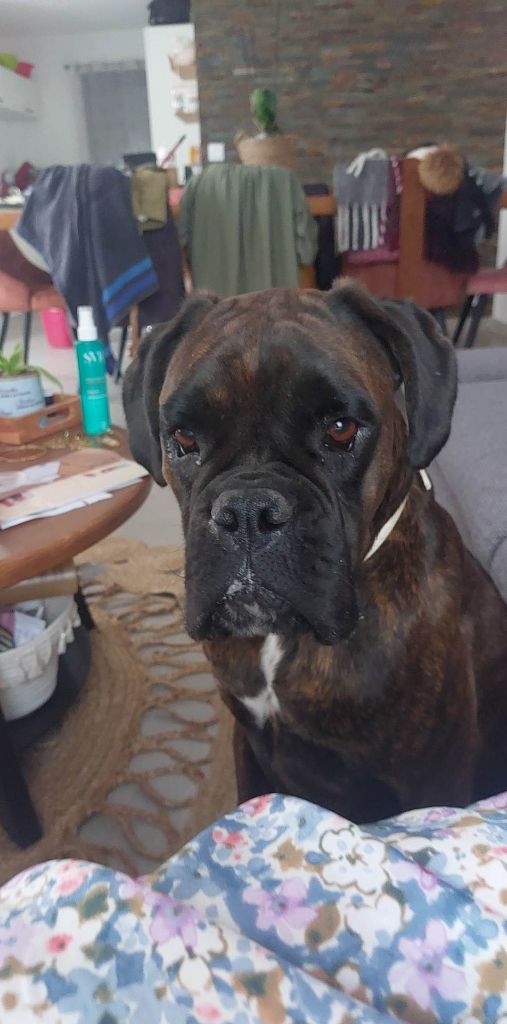 Publication : Du Soleil De L'aurion 