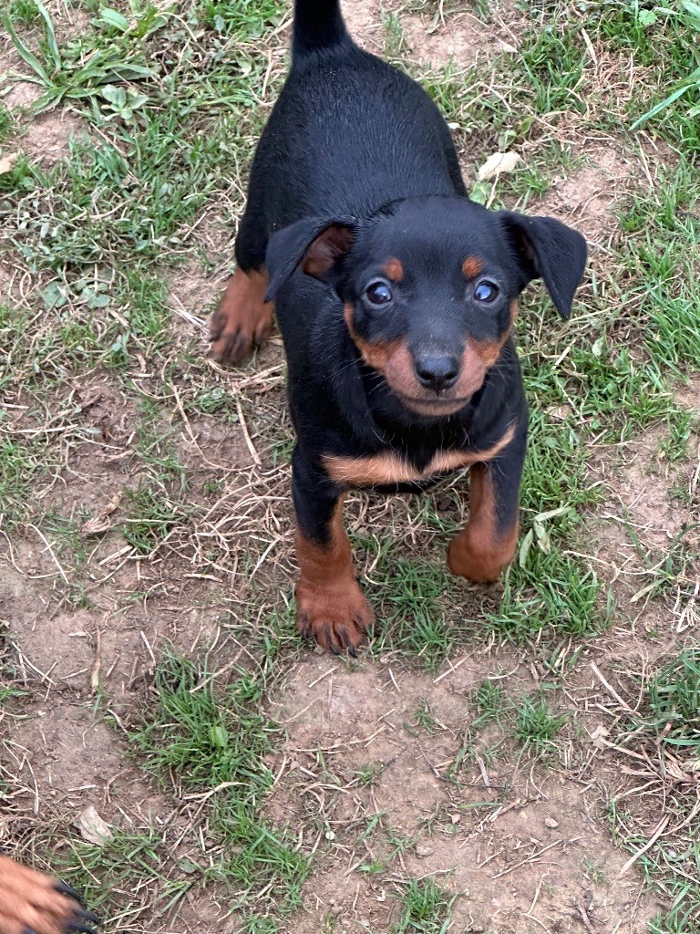 Publication : Du Hameau Des Nours 