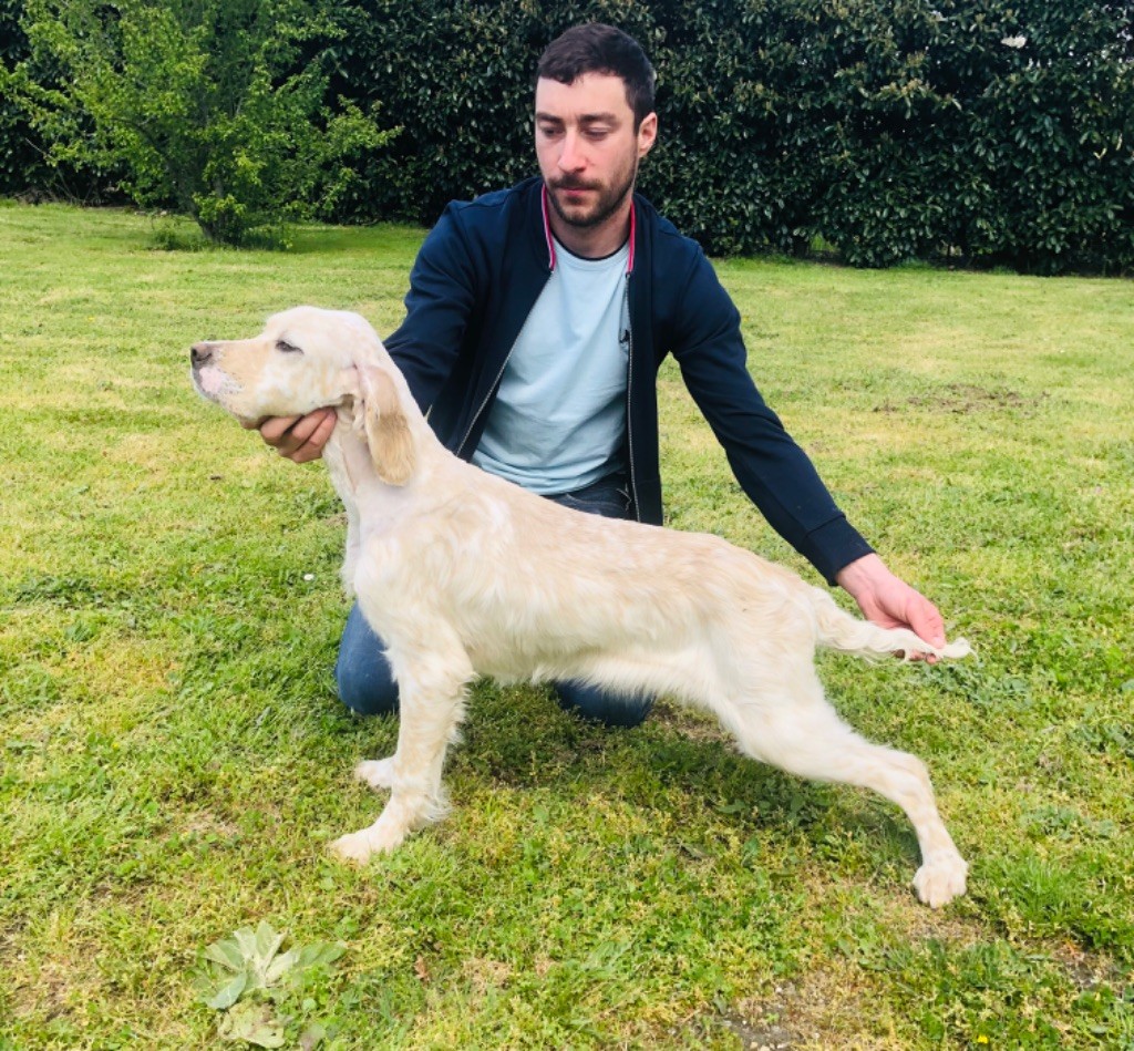 Publication : Du Chenil De Pépon Auteur : CastÃ¨de Vincent 