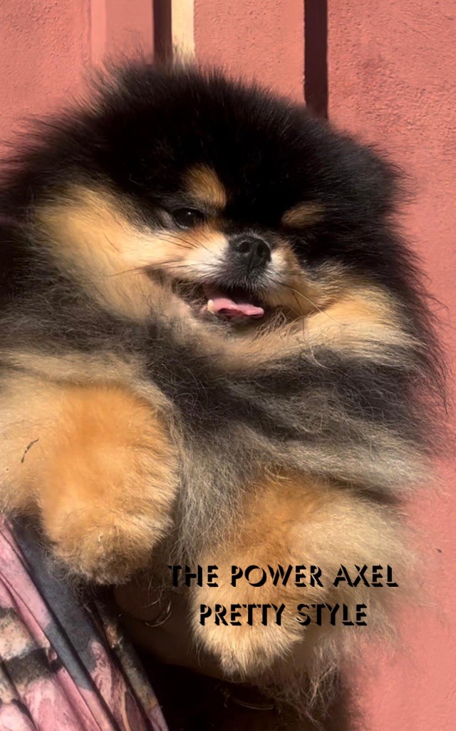 The power axel pretty style
