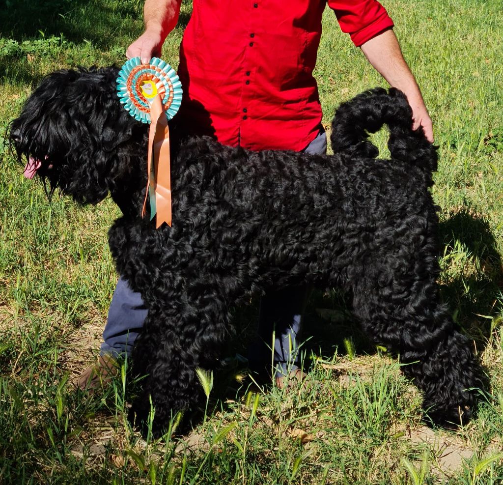 Publication : Black Of Angels Life 