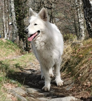 Pastou du Domaine De Cap Dé Lastouse