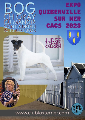 Étalon Fox Terrier Poil lisse - CH. Okay du Manoir Saint Adrien