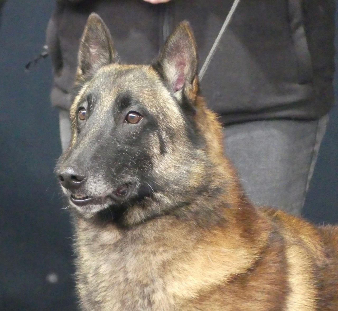 Publication : De La Butte Des Crocs Blancs 