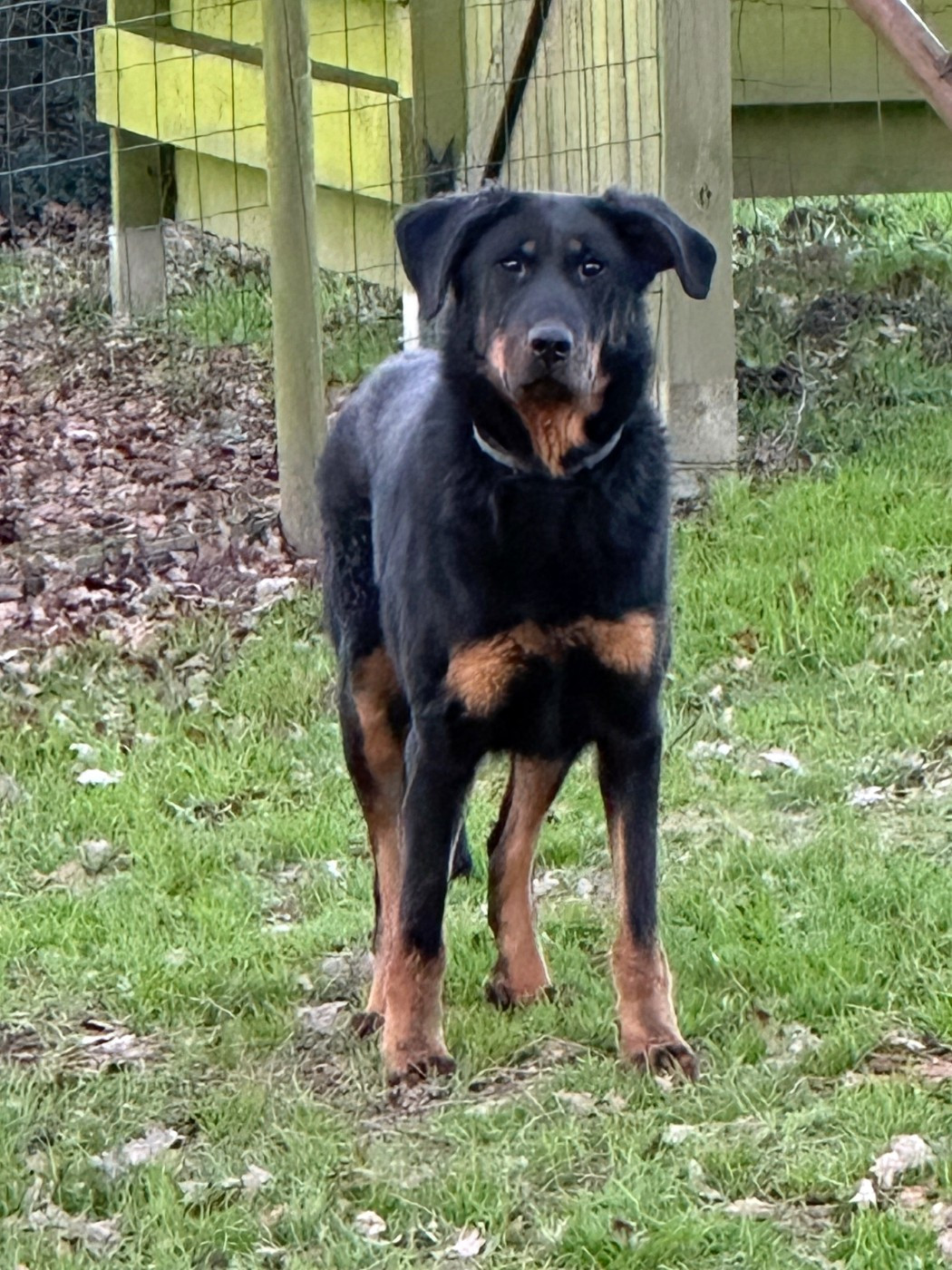 Publication : des berges de l'Isac