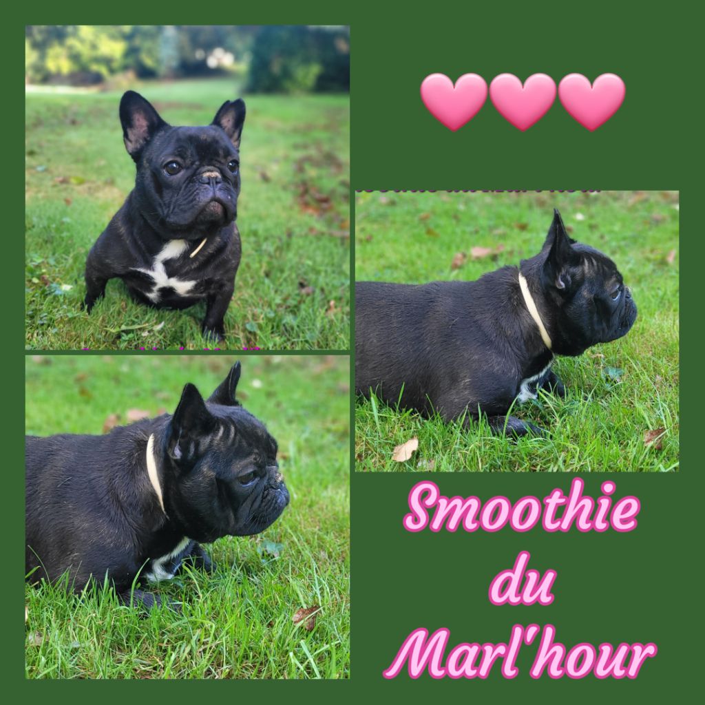 Publication : du Marl'Hour 