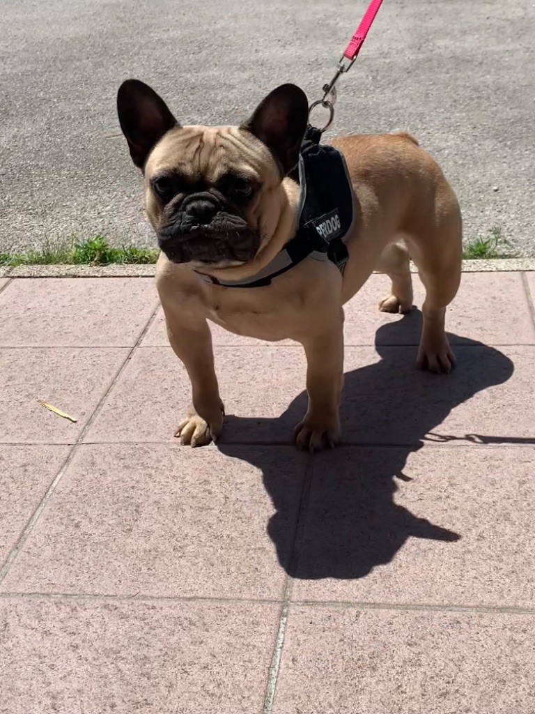 Publication : Du Paradis D'indiana 