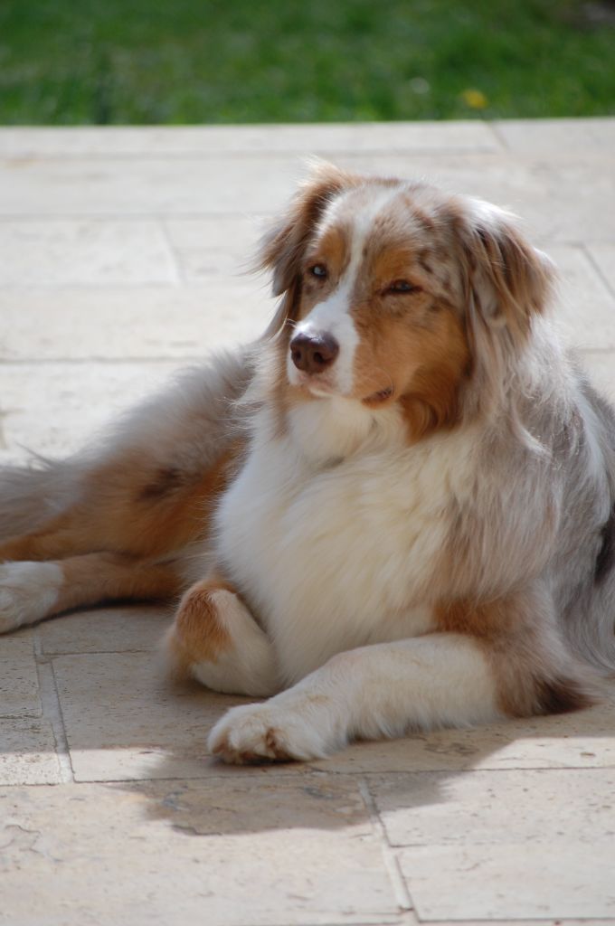 Publication : De L'Energie En Folie