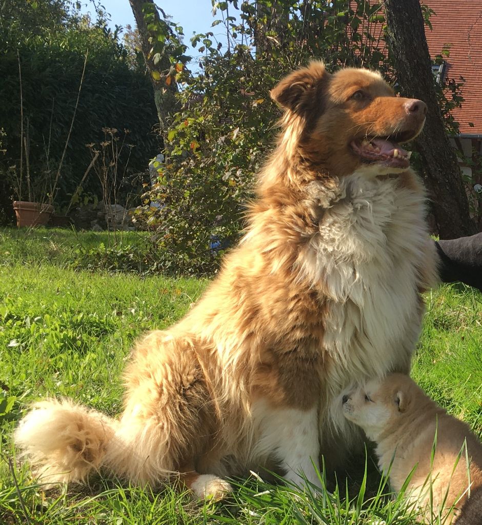 Publication : Nouvel Eden Auteur : moi