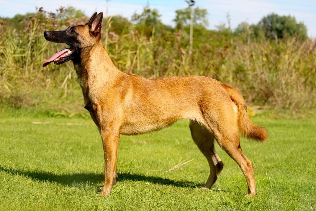 Publication : De L'Odyssée D'Hèra