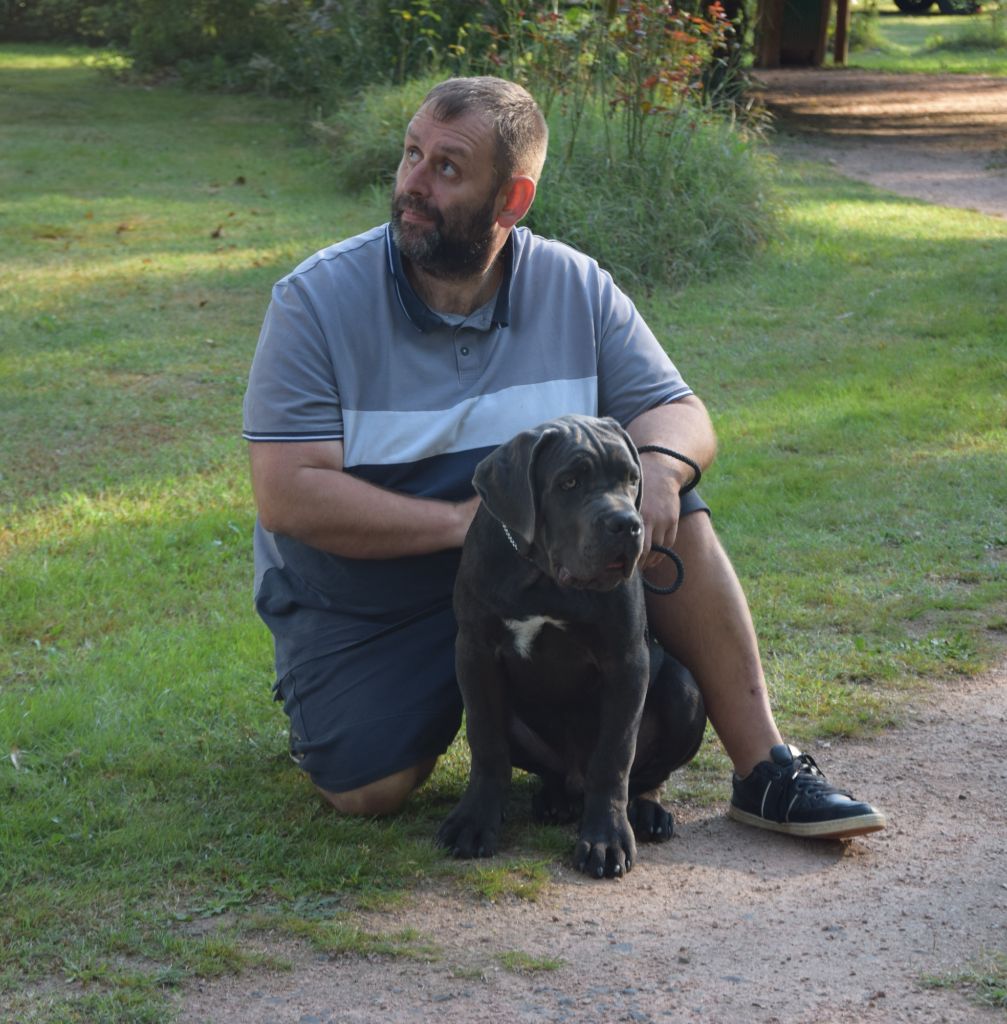 Publication : Arvernmolosse Auteur : Arvernmolosse