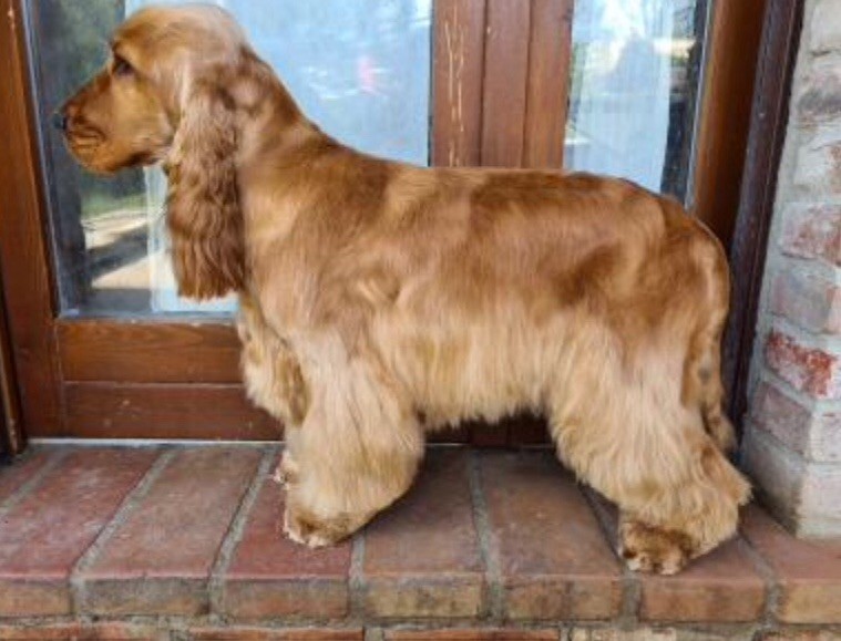 gerini's truelife Zakee