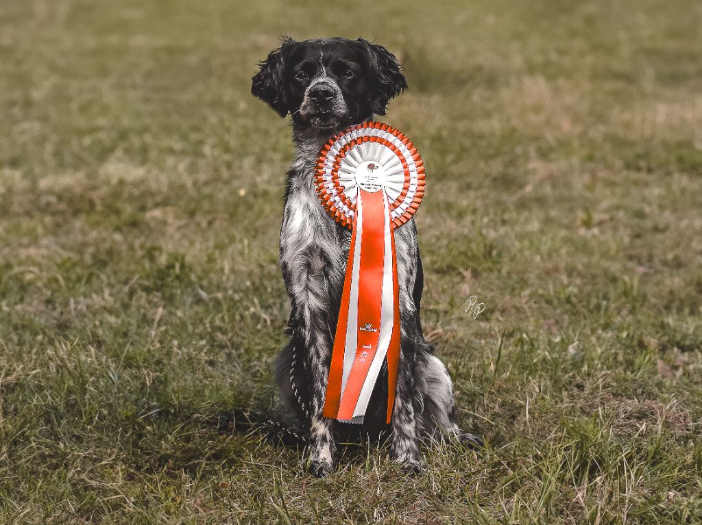 Publication : Do Coração Leal 