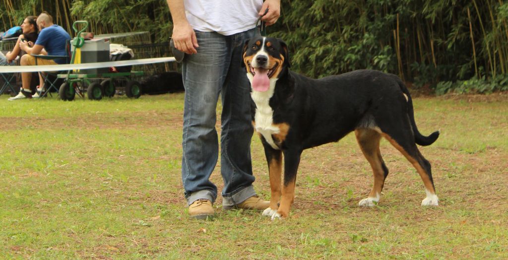 Publication : Des Rives Du Tibre Auteur : Alexia