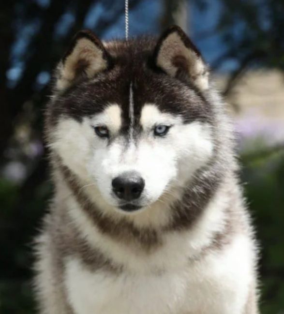 Publication : De La Tendre Puissance