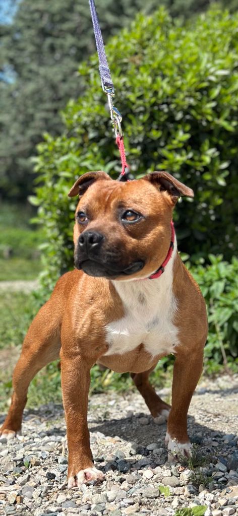 Publication : Des Gardiens De Malléa