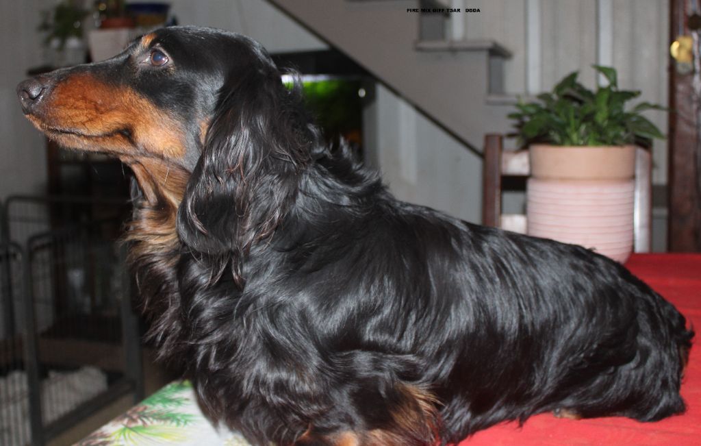 Publication : des bords d'avene 