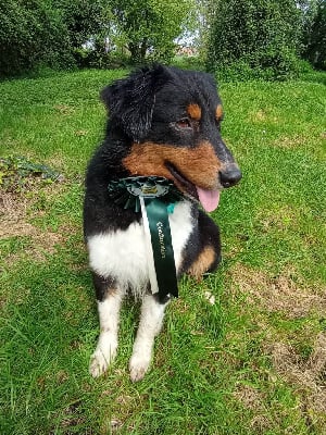 Ripley (Sans Affixe)