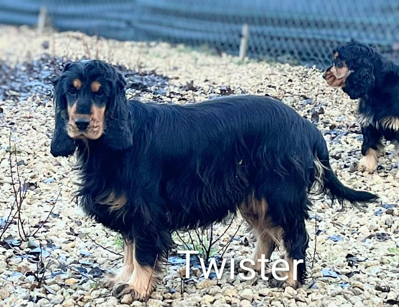 Publication : Du Domaine Charlésien Auteur : Lemoine Christelle