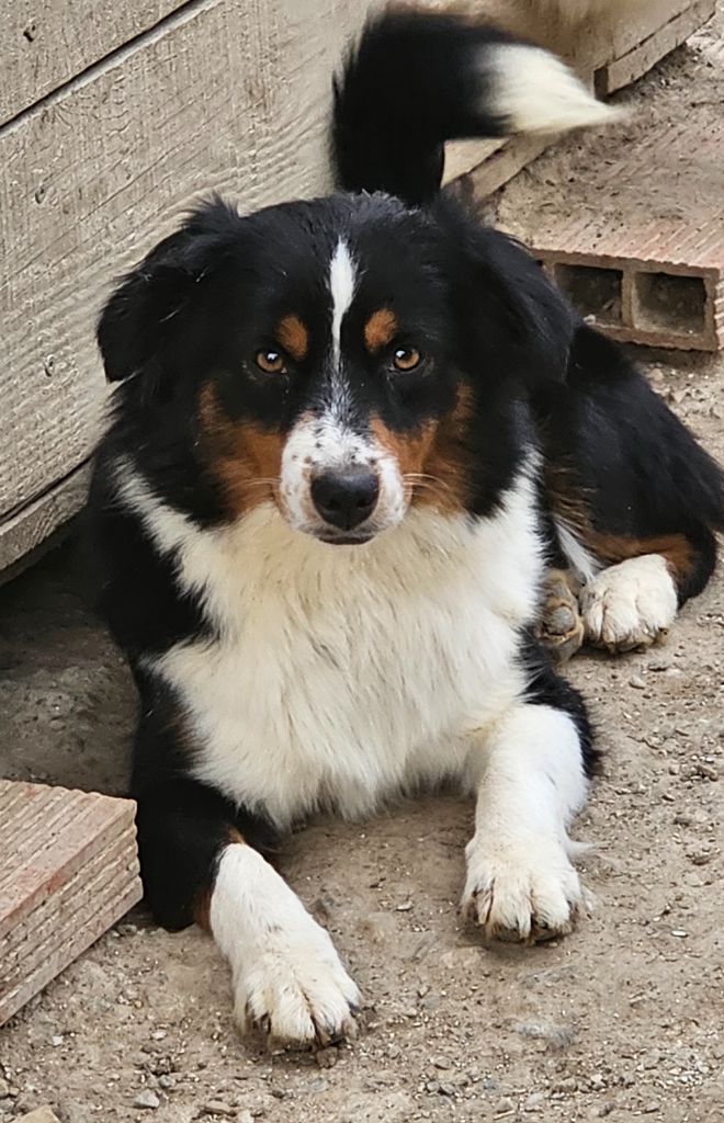 Publication : Des Champs De Beyssac 