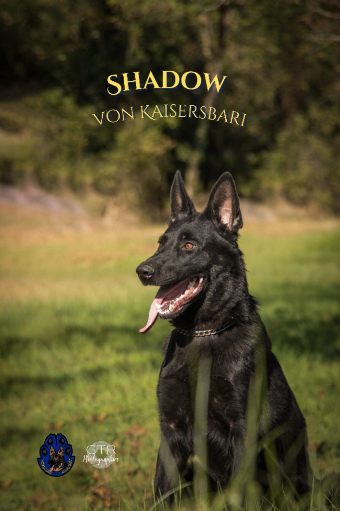 Publication : des Terres d'Avallon Auteur : GTR Photographies