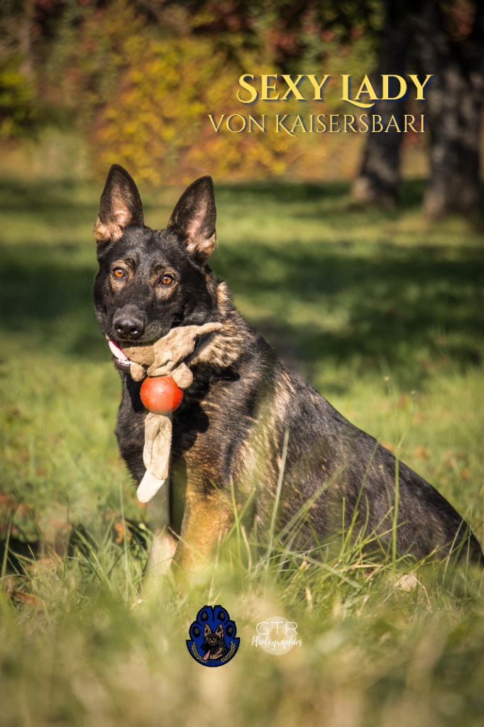 Publication : des Terres d'Avallon Auteur : Gtr Photographies