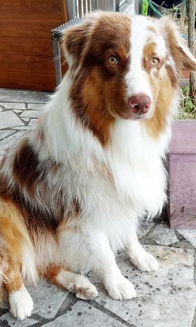 Publication : Des Highlands Du Sud