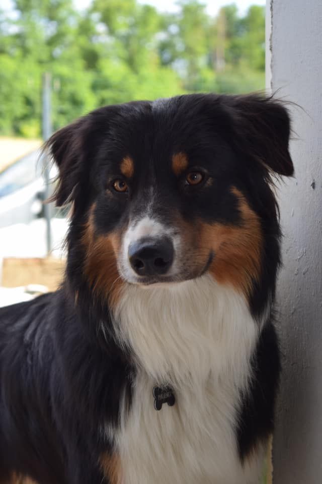 Publication : Of Crystal June 