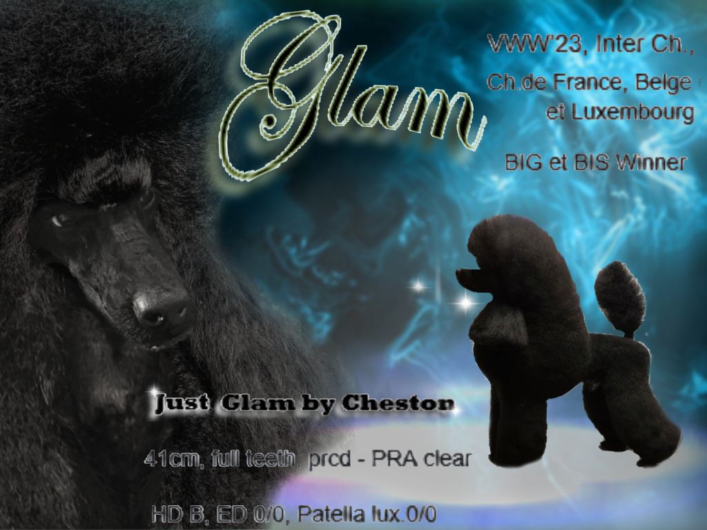 CH. Just glam by cheston