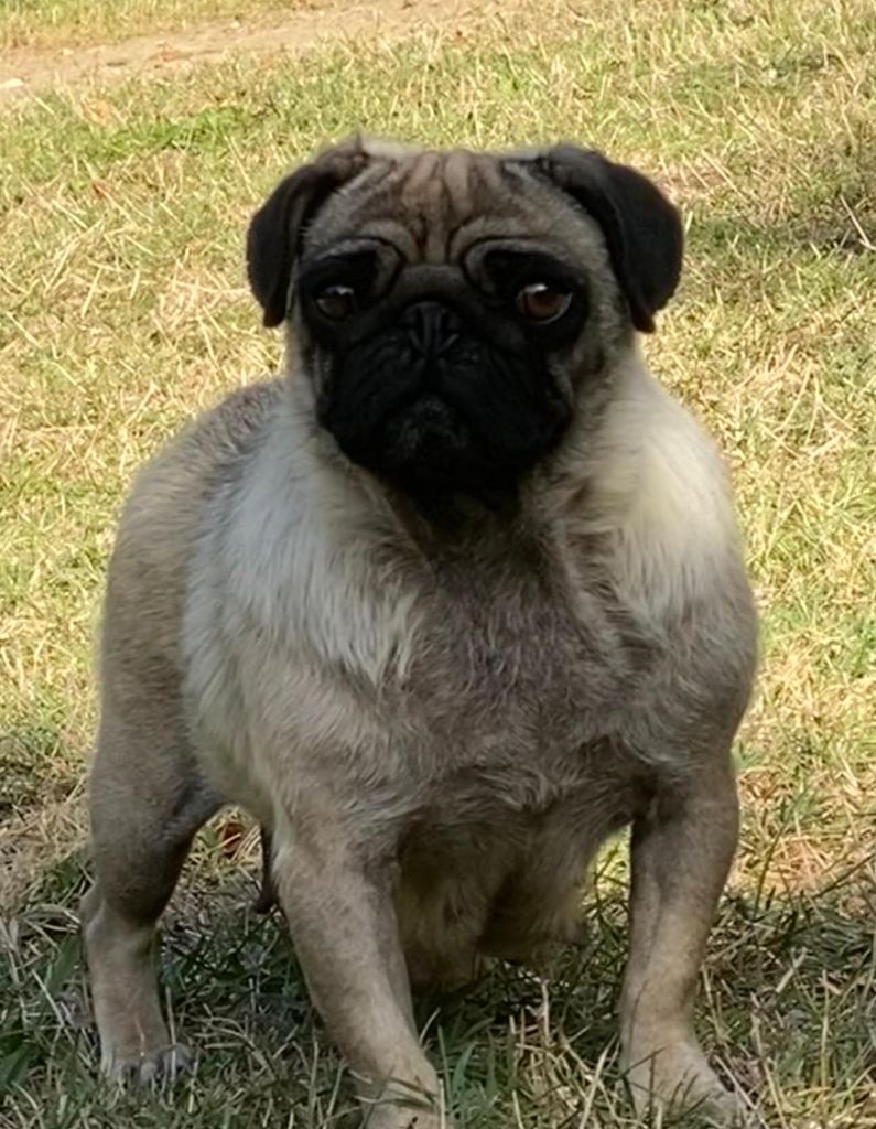 Publication : Du Clos De Compostelle