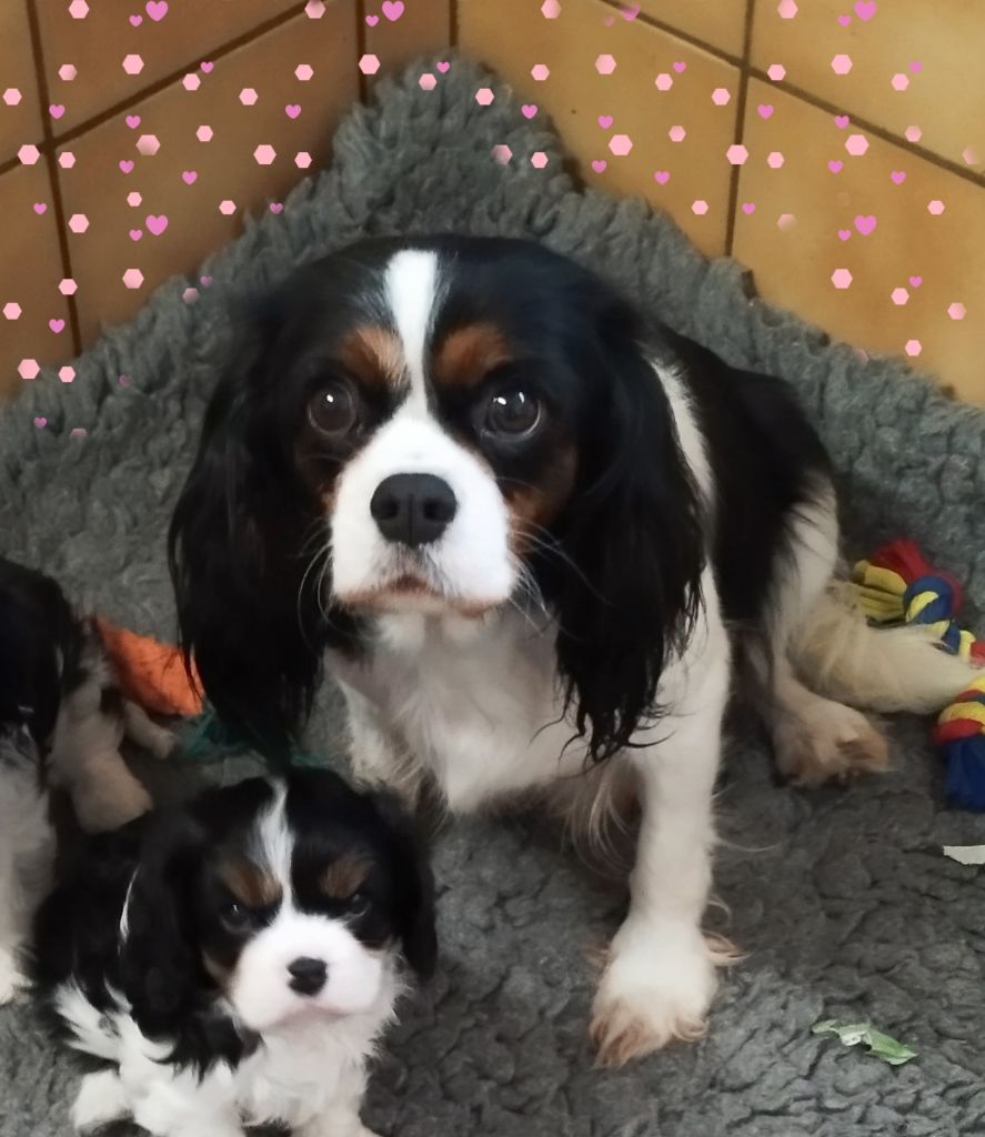 Publication : des lutins malins