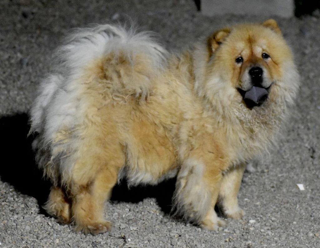 Publication : Du Domaine De Lu Ti 