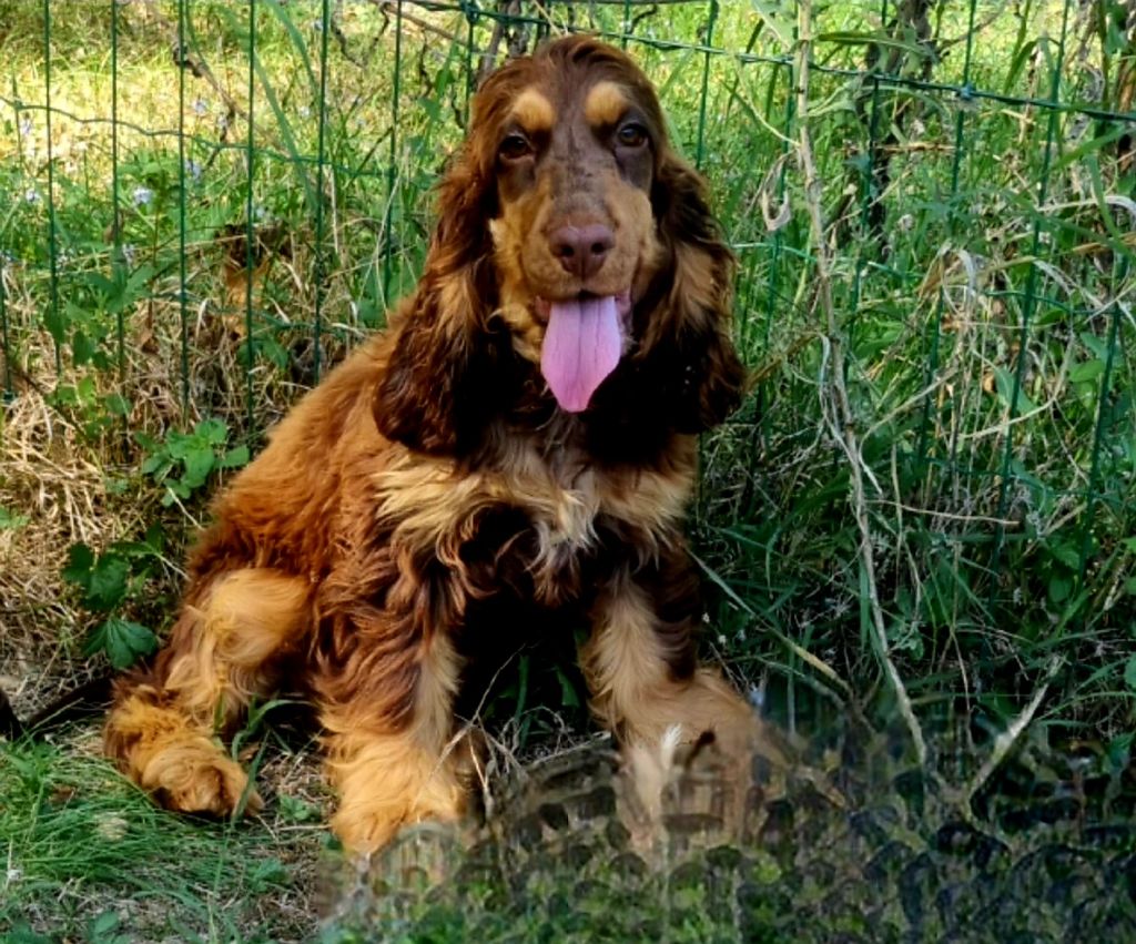 Publication : (Sans Affixe) 