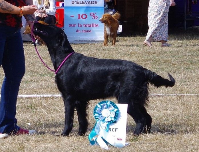 Publication : Des Terres De Flore Auteur : Des Terres de Flore