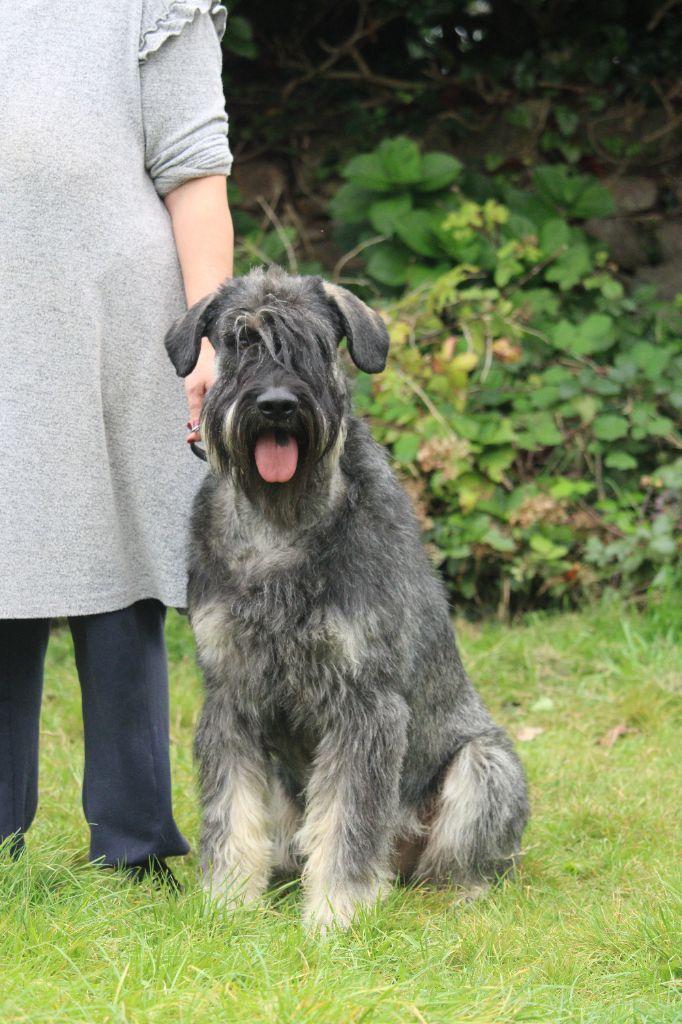 Publication : Du Gélétan 