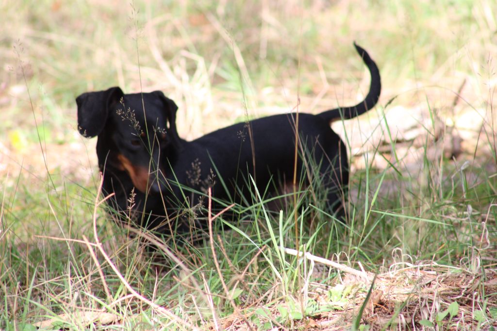 Publication : de l'air salin