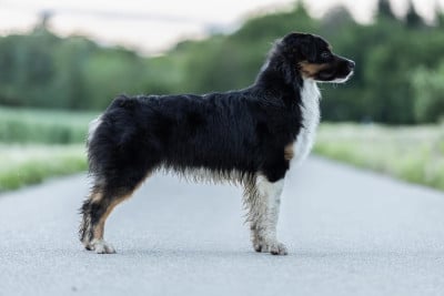 image de Too good to be true