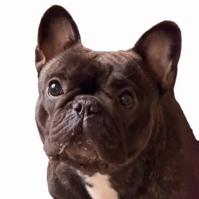 Ursula bella de l'Empire des Hellls