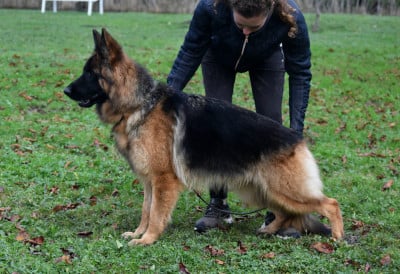 Tyna De la plaine de serrieres