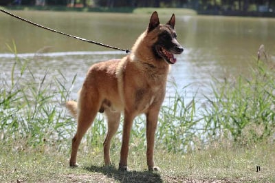 CH. Naos du Domaine de Vauroux