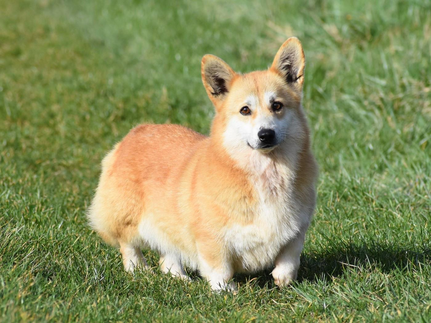 Publication : De La Folle Emprise