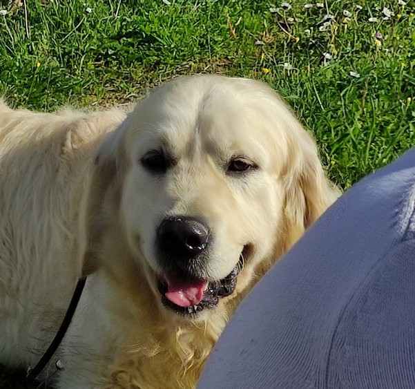 Publication : living links 