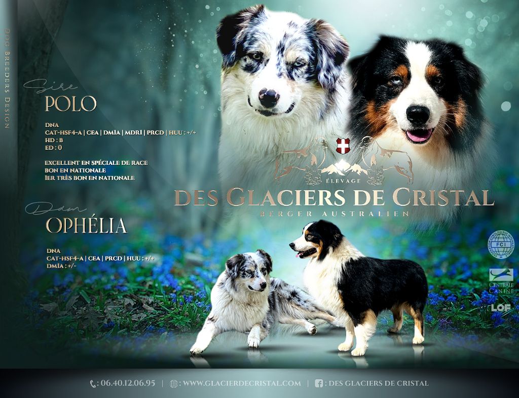 Publication : de l'Angelarde Auteur : Les Glaciers de Cristal